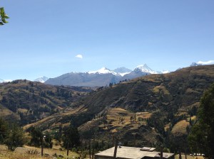 IMG_5575