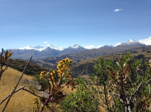 IMG_5586