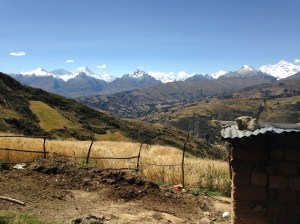 IMG_5591