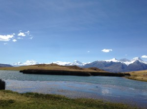 IMG_5594