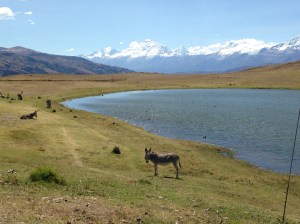 IMG_5601