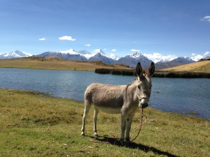 IMG_5604